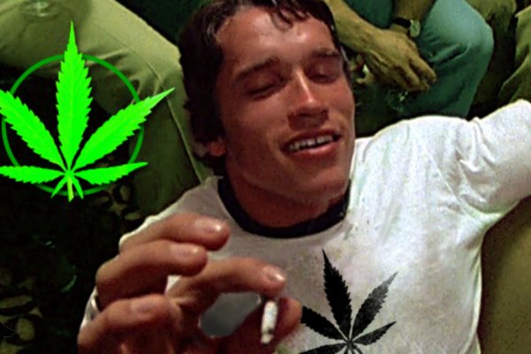 Сайт кракен зайти