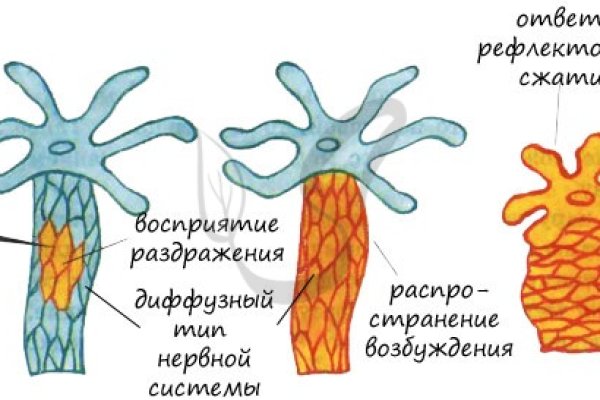 Кракен как зайти